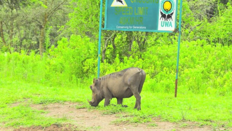 Lake-Mburo-national-park-