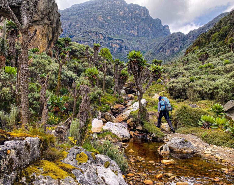 Rwenzori-Mountains-03_1600p